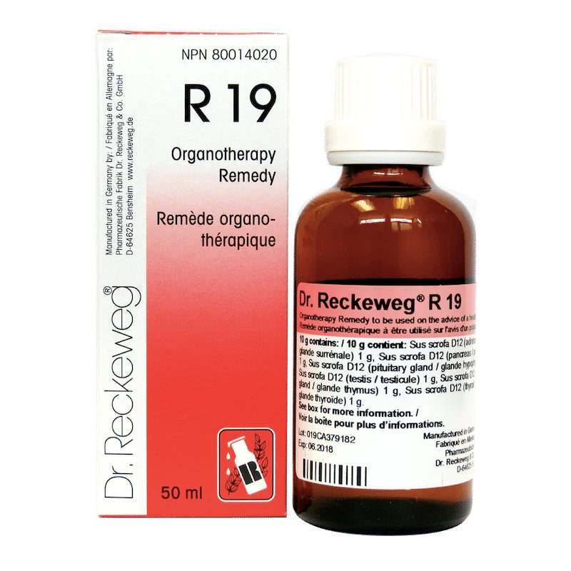 R19 - Équilibreur hormonal pour hommes - Dr. Reckeweg - 50ml